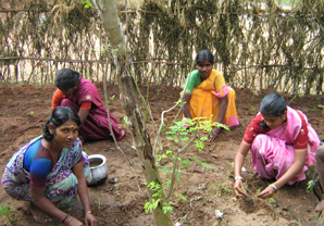 SARVAM-Cleaning-Oct-2014-1